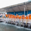 ปล่อยปลา 500 กิโลกรัม น้อมบูชาธรรมมหาปูชนียาจารย์ ปีที่ 13 ครั้งที่ 126