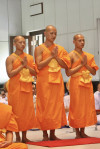 S__4661343.jpg